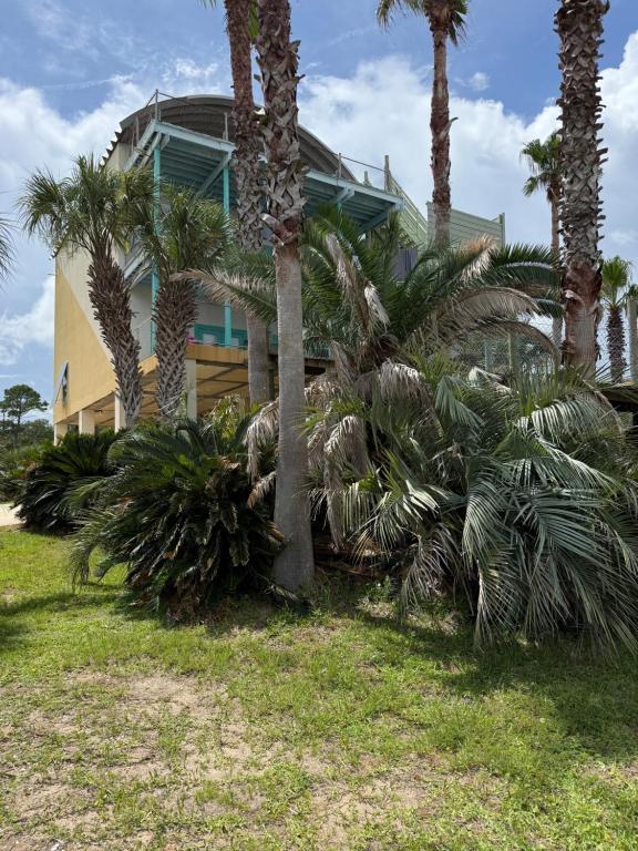 Down on the BAY - Image 6