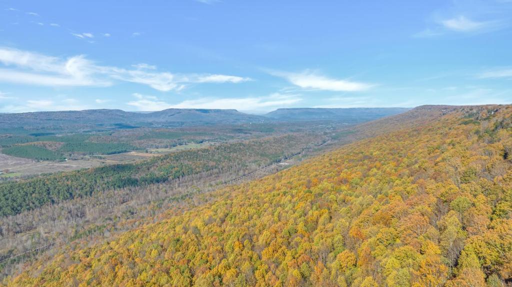 The Lodge in Mentone - Image 5