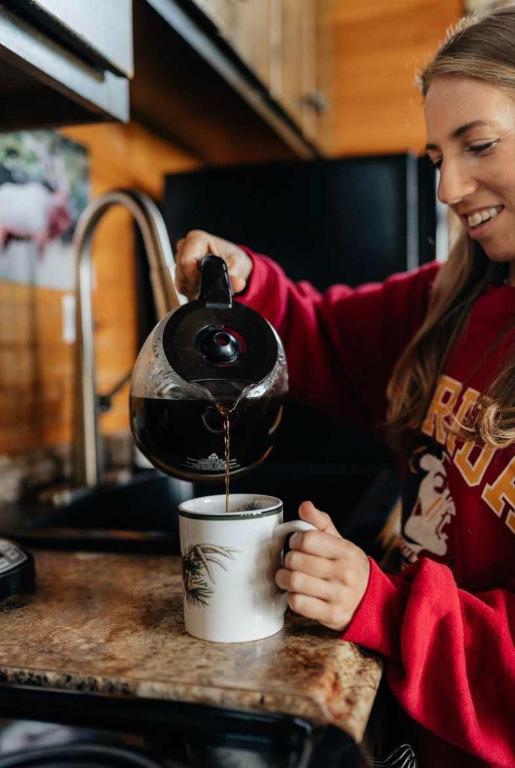 Wildflower Cabin with a private hot tub - Image 8
