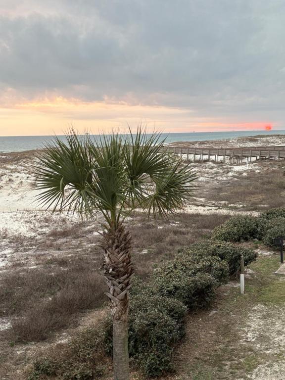 Stay beachy - Image 8