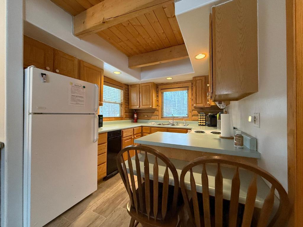 Talkeetna Log Cabin with Hot Tub Unit 1 - Image 4