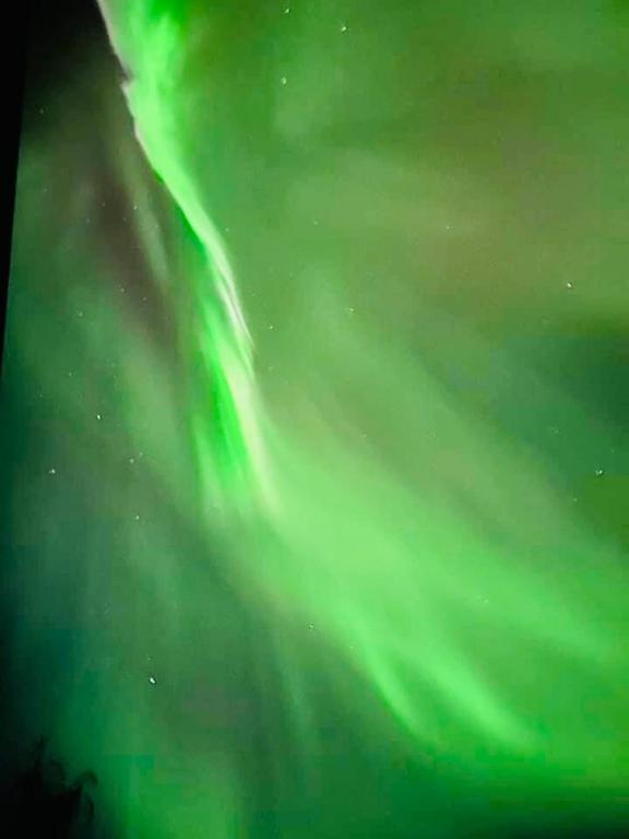 Alaska Getaway - Image 8