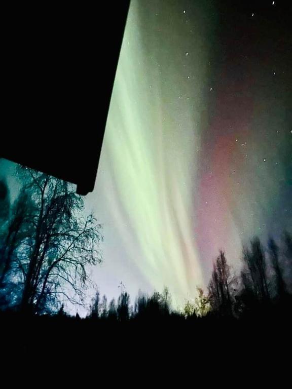 Alaska Getaway - Image 5