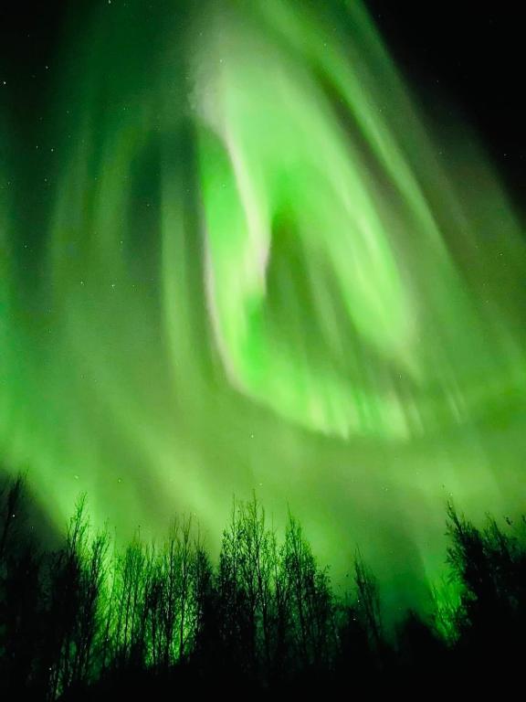 Alaska Getaway - Image 7