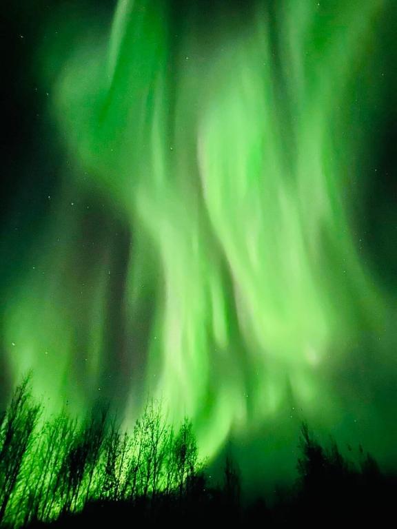 Alaska Getaway - Image 6