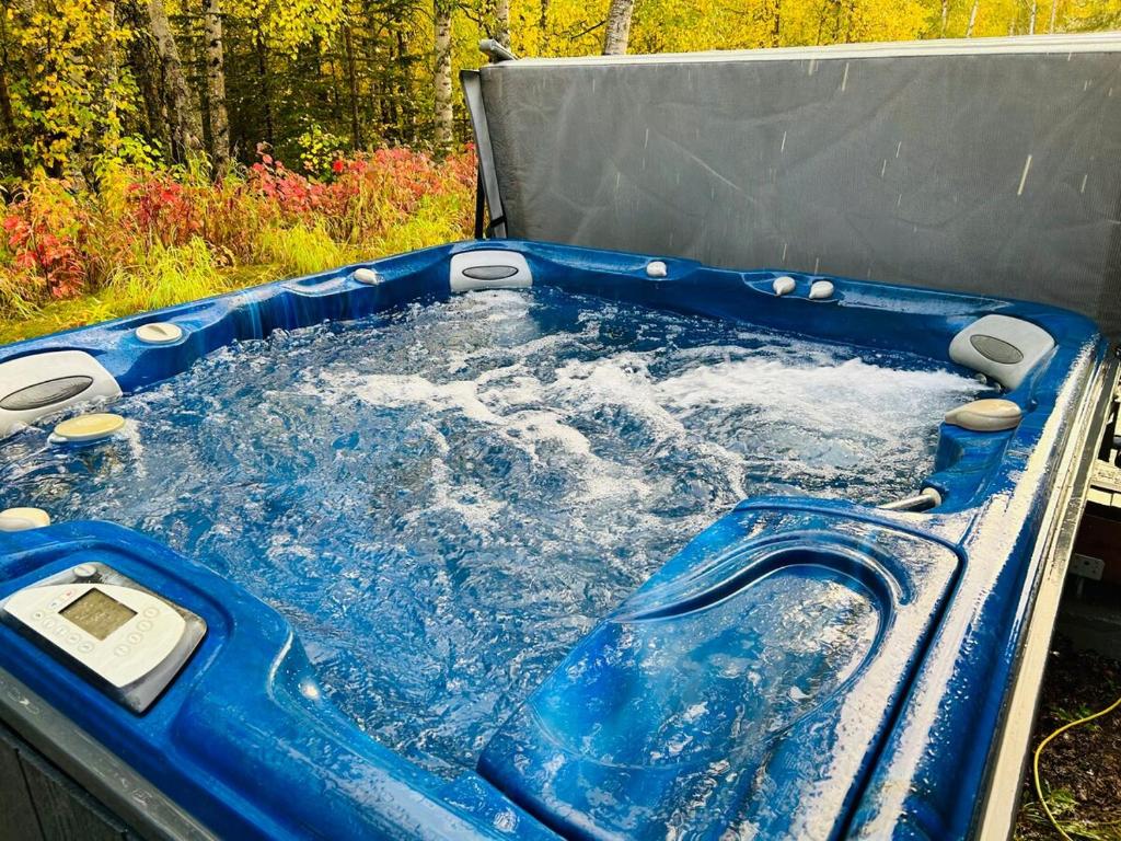 Alaska Getaway
