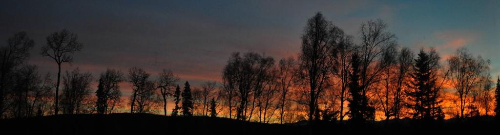 Talkeetna Chalet - Image 4