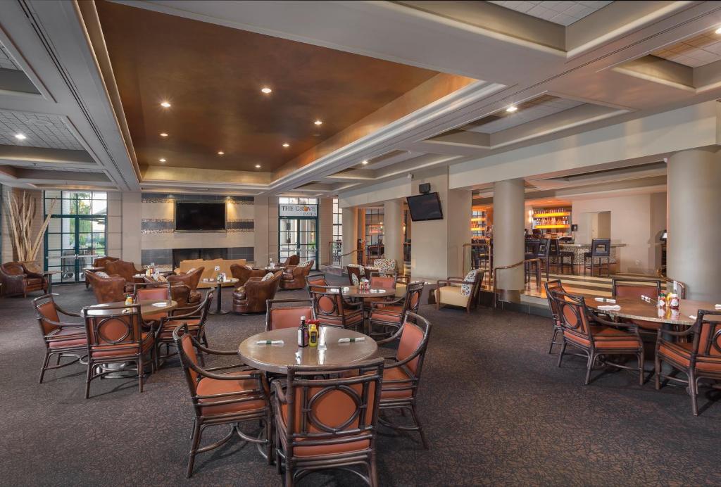 Orange Tree Resort - Image 5