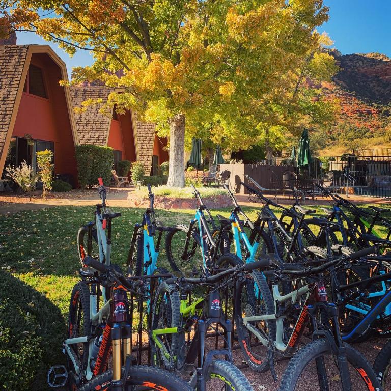 Red Agave Resort - Image 4