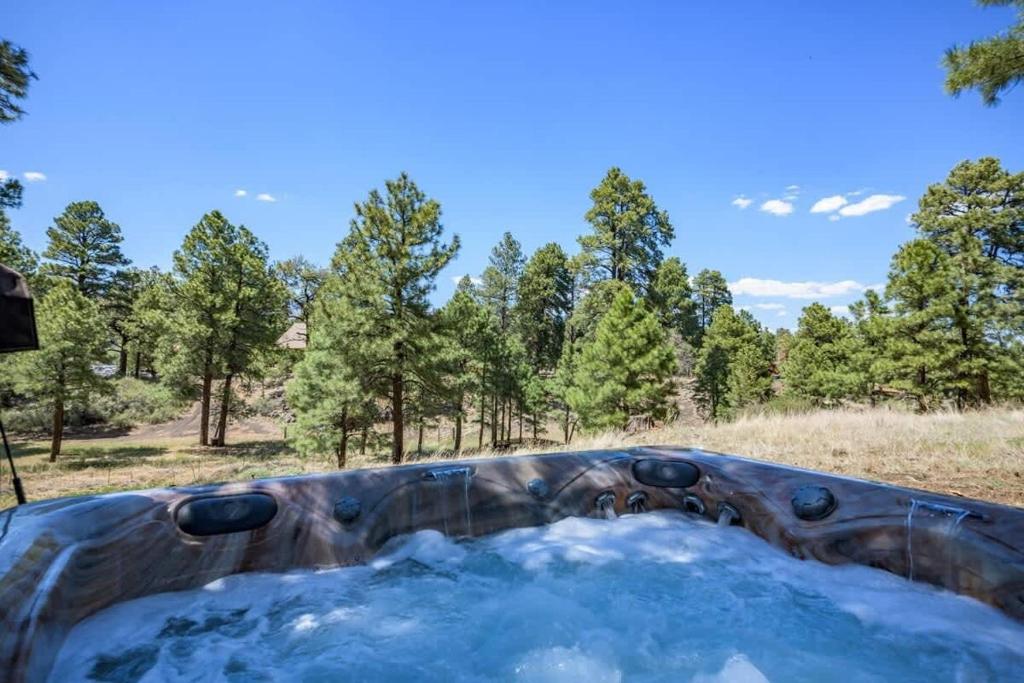 Hot Tub (Jacuzzi) - Photo 7