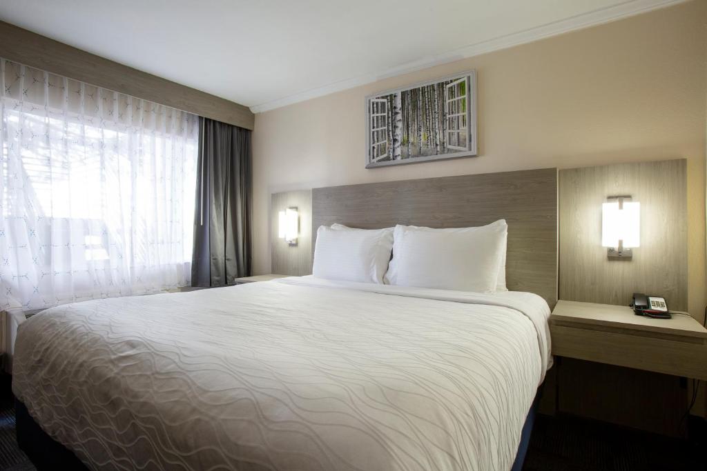 Hotel Aspen Flagstaff/ Grand Canyon InnSuites - Image 7