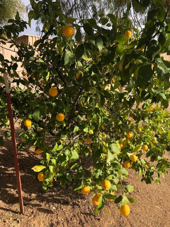 Tropical Mountain Valley Casita - Image 8