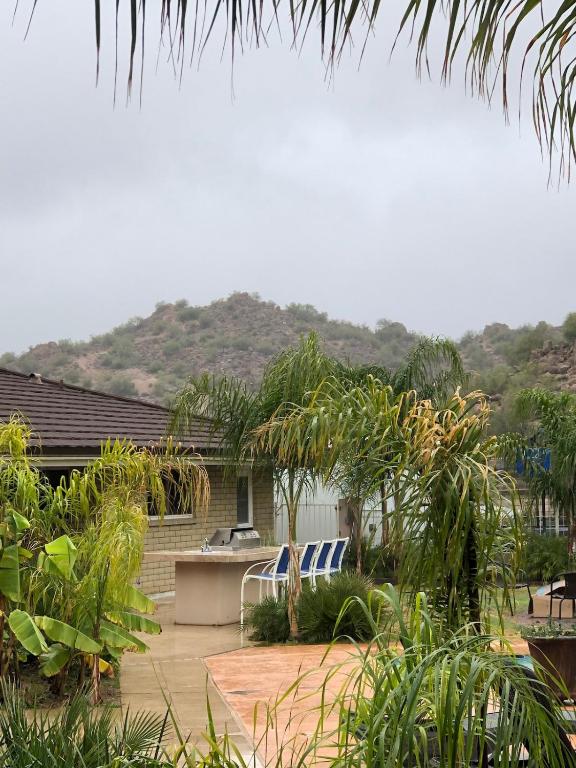 Tropical Mountain Valley Casita - Image 6