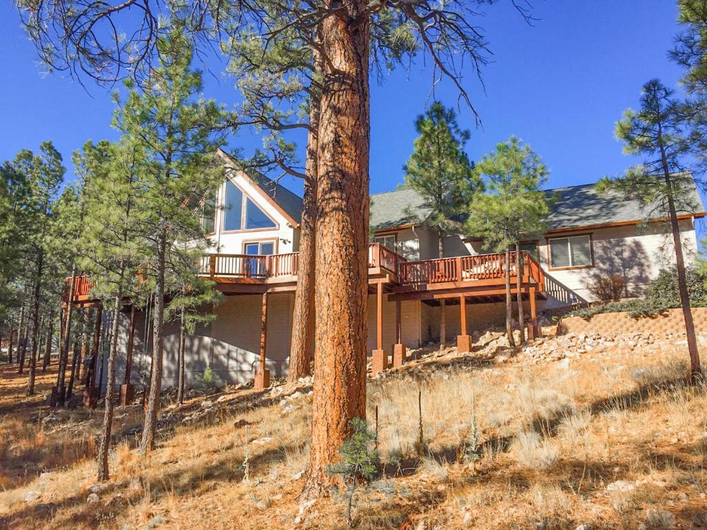 The Holland Home - Image 6