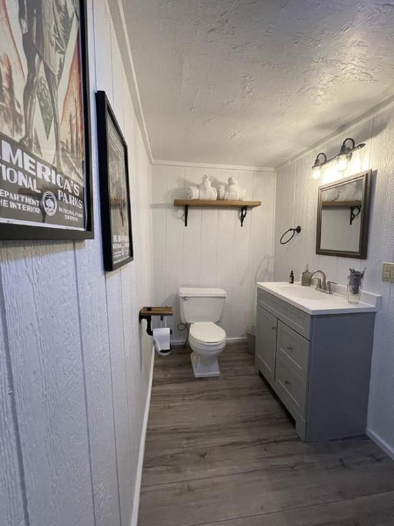 Adventure Cabin 3 King Bed Hot Tub