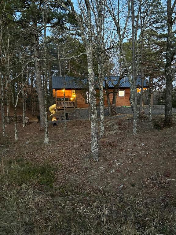 The Knotty Pine Cabin at Cabins of Wolf Pen Gap - Image 6
