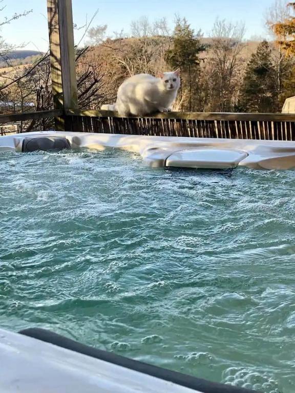 Hot Tub (Jacuzzi) - Photo 2