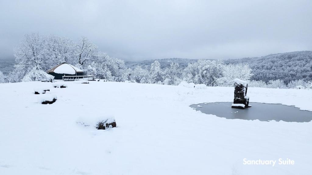 Hot Tub (Jacuzzi) - Photo 7