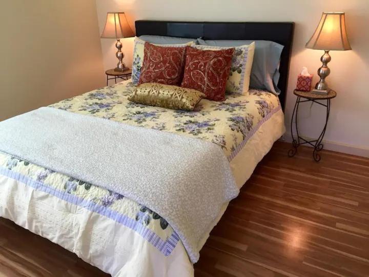 The Blue House - Image 7