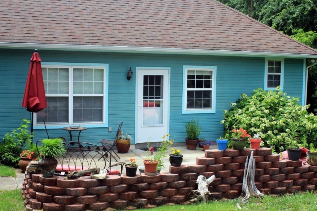 The Blue House - Image 6