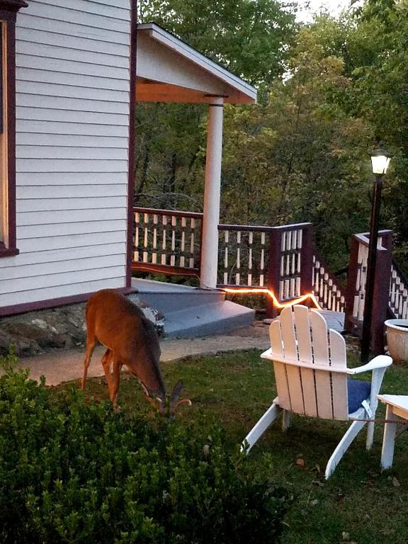 5 Ojo Inn Bed and Breakfast