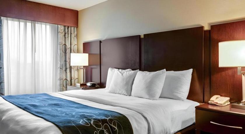 Comfort Suites near Hot Springs Park - Image 8