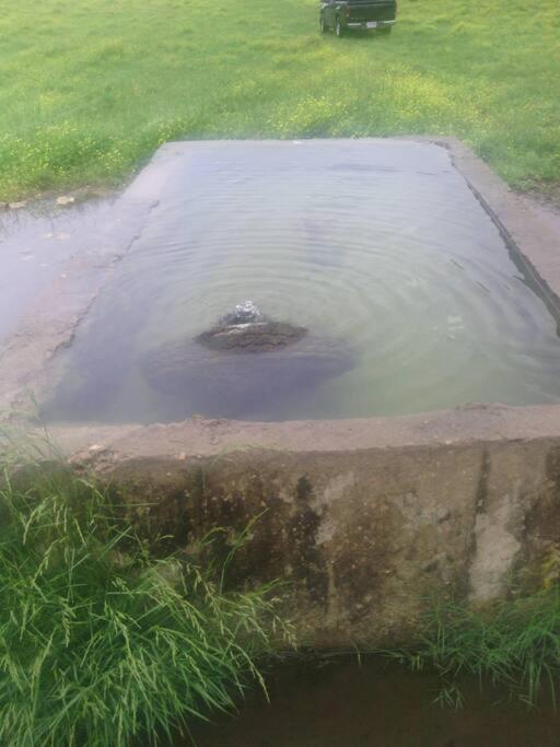 Hot Tub (Jacuzzi) - Photo 3