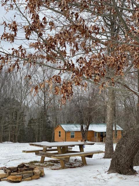 Cabin with a tree house on a buffalo farm . - Image 6