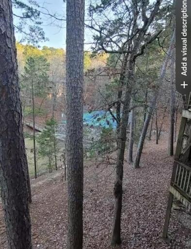 Bear Den on Lake Ouachita 2BR Condo at Mountain Harbor Resort - Image 6