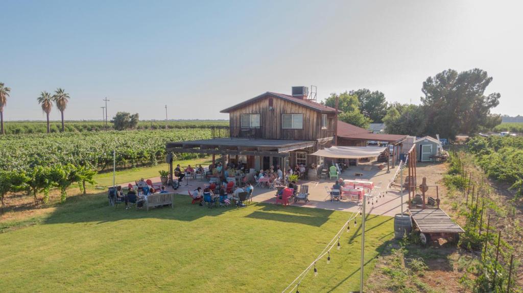 Sequoia View Vineyard - Image 5