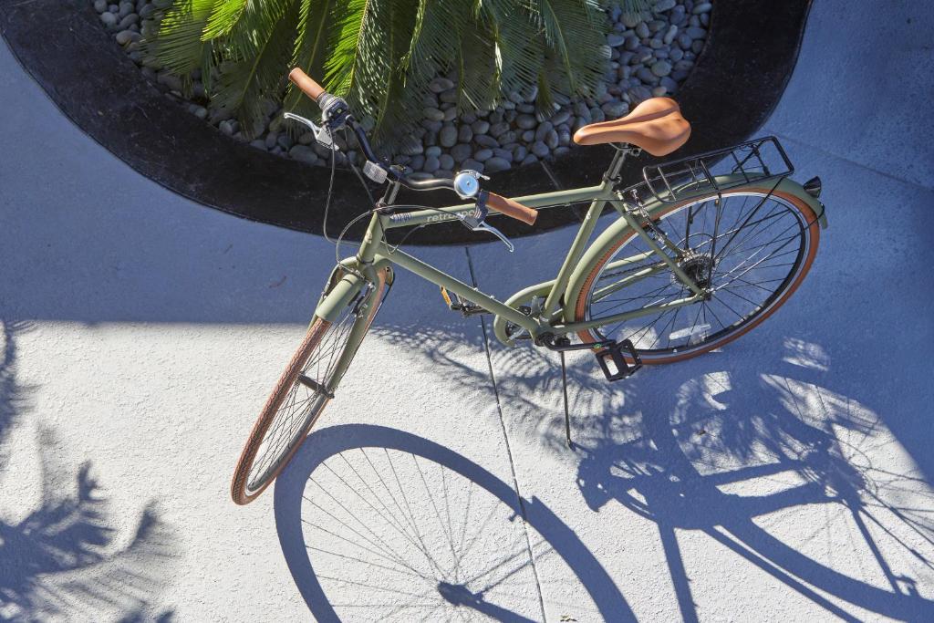 Descanso Resort, A Men's Resort - Image 6