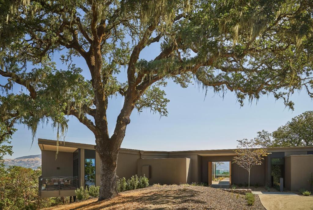 Montage Healdsburg - Image 7