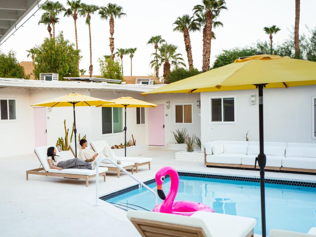 The Cactai - Image 7