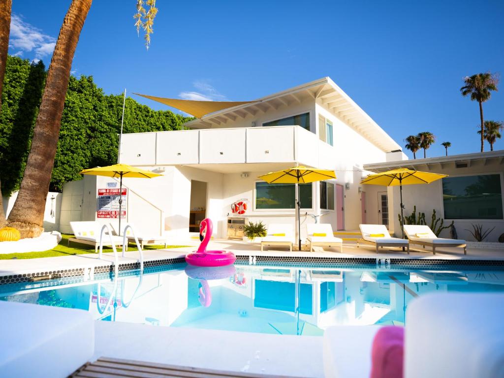 The Cactai - Image 4