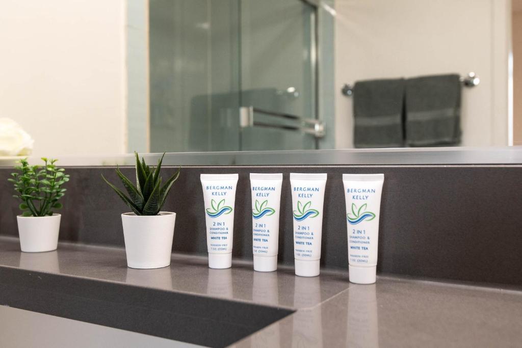 Skyline Suites - Image 6