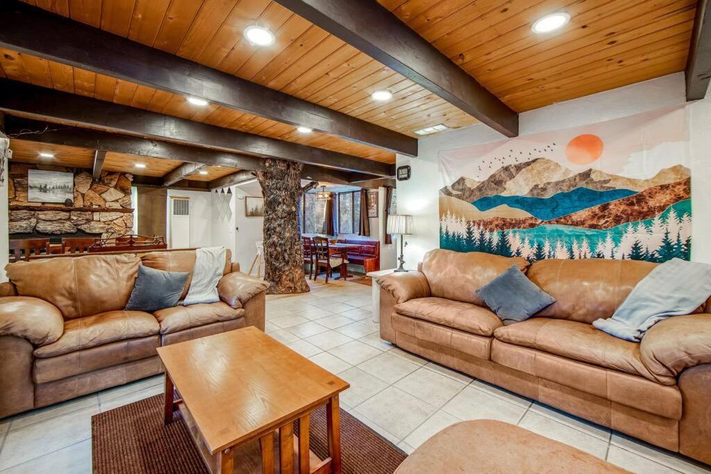 Mountain & Ski Slope View Cabin 3bd/3bth Sleeps 10