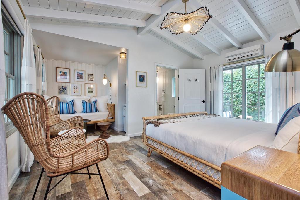 Dive Palm Springs - Image 8