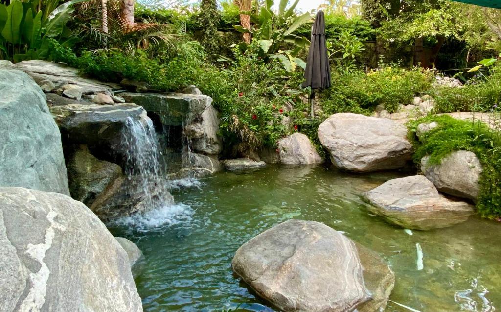 Vista Grande Resort - A Gay Men's Resort - Image 7