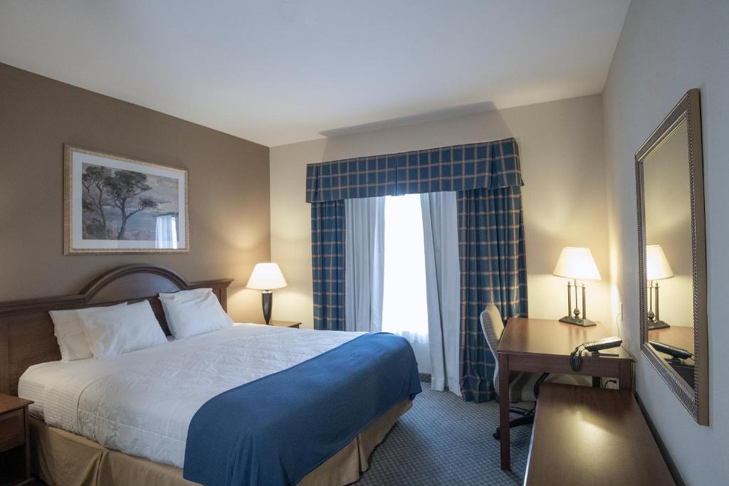 Oasis Inn & Suites 29 Palms Hotel Joshua Tree National Park - Image 8