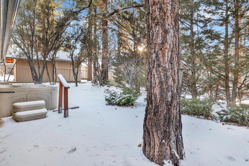 Hot Tub (Jacuzzi) - Photo 2