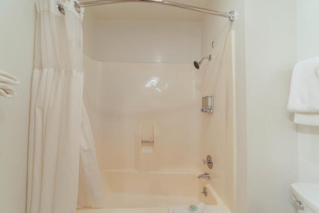 Bathtub - Photo 3