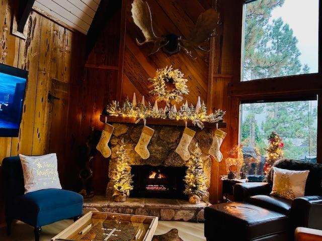 Kookaburra Cabin - Image 5