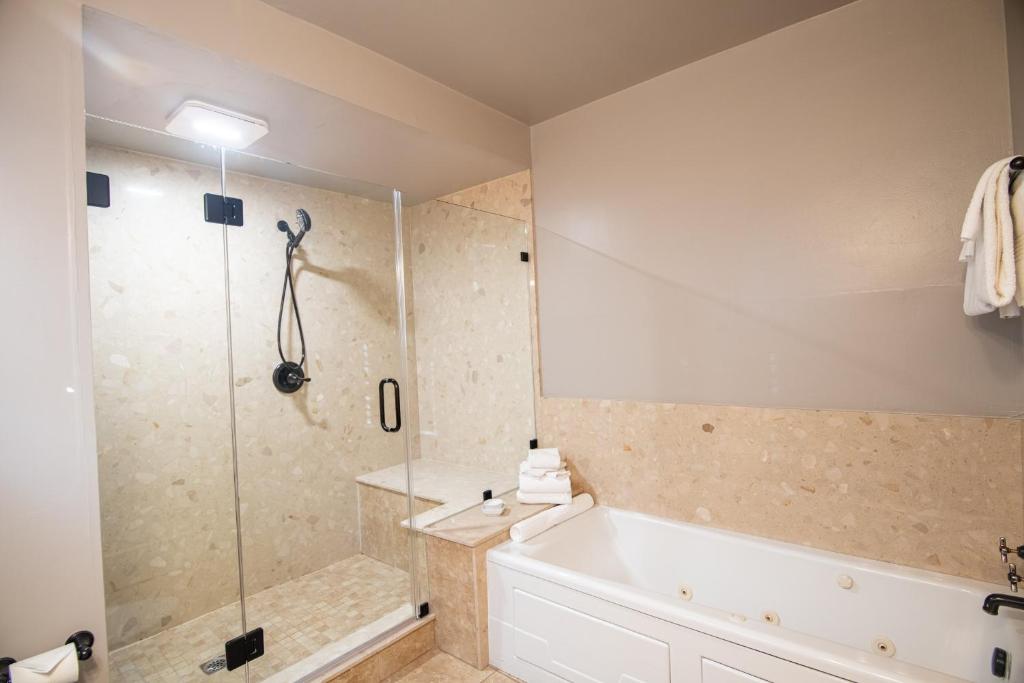 Hot Tub (Jacuzzi) - Photo 10