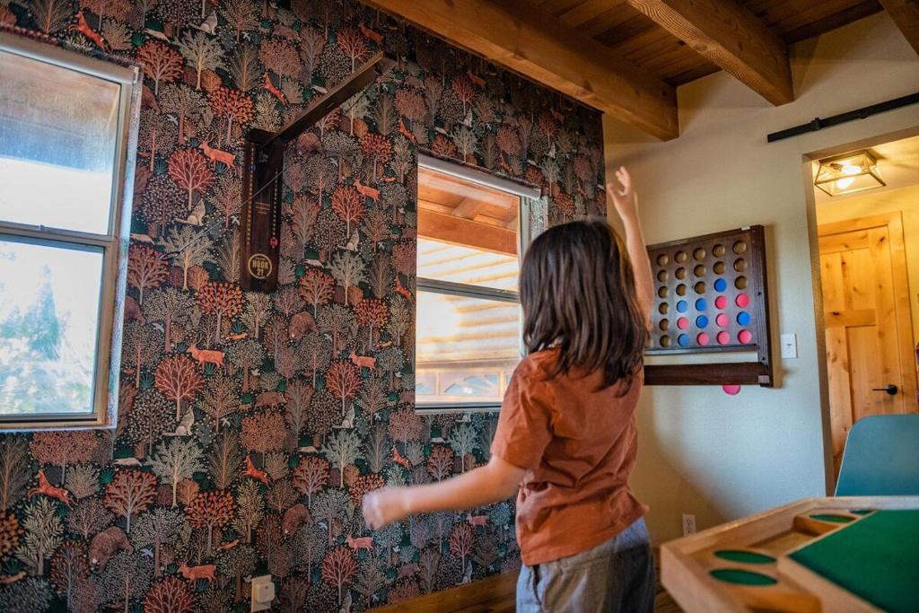 Hot Tub-Game Room-Nintendo Switch-BBQ - Image 4