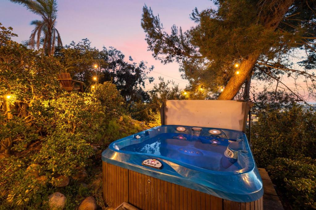 Hot Tub (Jacuzzi) - Photo 3
