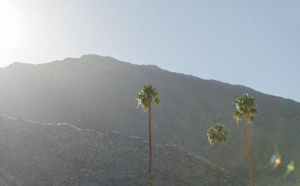 Yara Hotel - Adults Only - Image 8