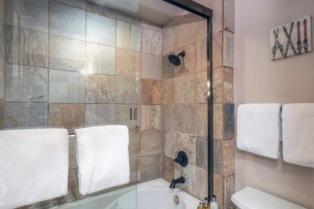 Telluride Studio - Walk to Gondola!