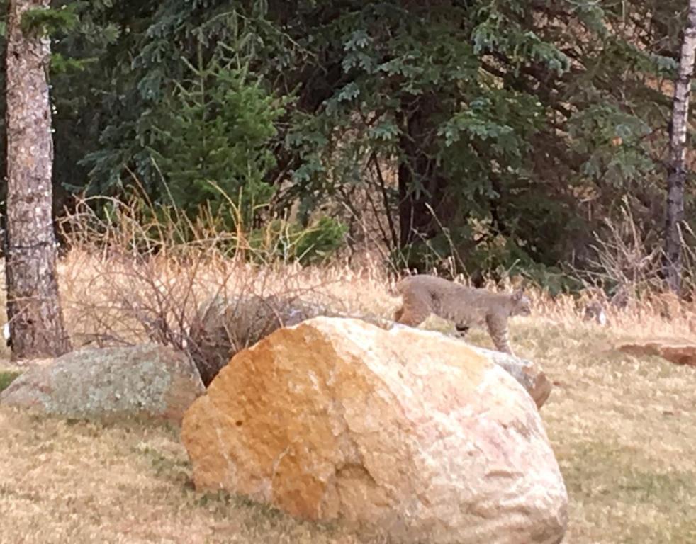 Riversong Inn Retreat - Image 7