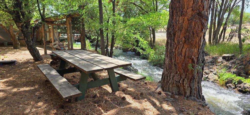 King Suite with a Full Kitchen and Balcony at the Cedaredge Lodge - Image 8