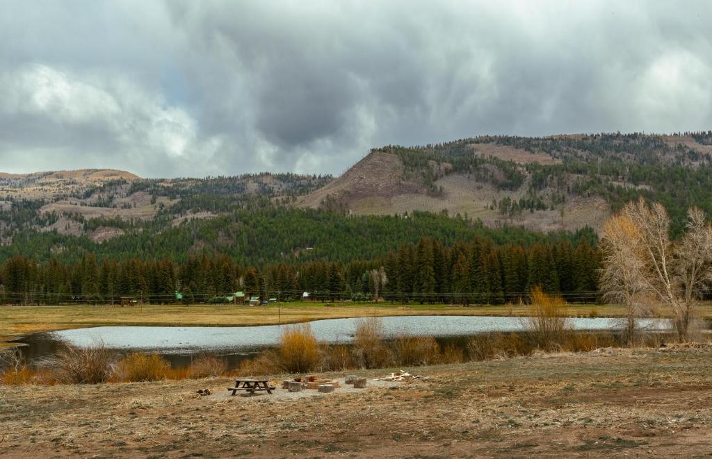 Bear Paw Lodge & Vacation Homes - Image 8